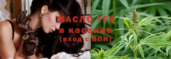 сатива Корсаков