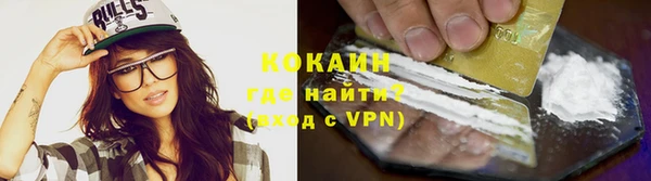 сатива Корсаков