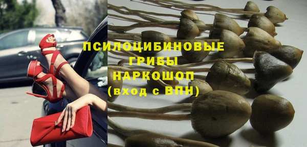 сатива Корсаков