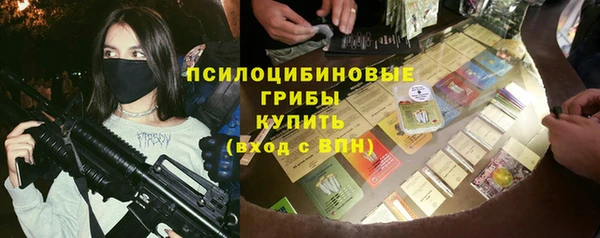 сатива Корсаков