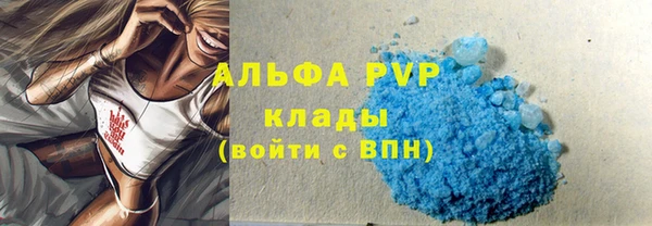 сатива Корсаков