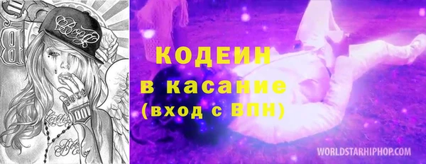 сатива Корсаков