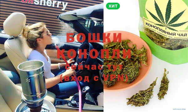 сатива Корсаков
