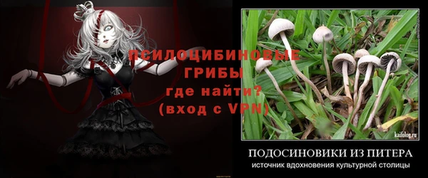 сатива Корсаков
