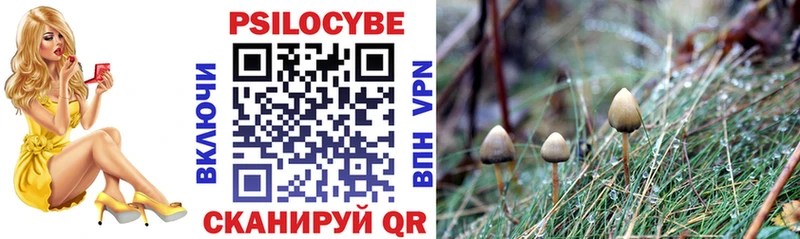 blacksprut зеркало  Камышин  Псилоцибиновые грибы Cubensis  купить наркоту 